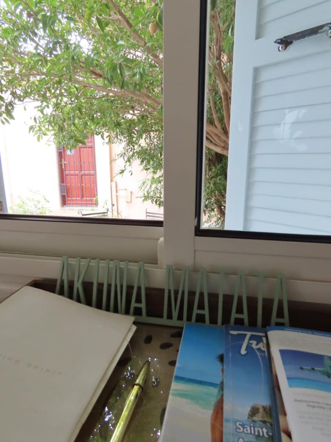 Akunamatata Guest House Grand Case Eksteriør bilde